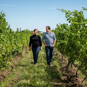 Leaning Post Wines - Vineyard