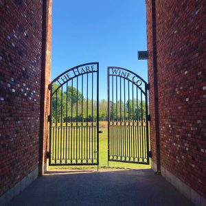 The Hare Winery - Gate