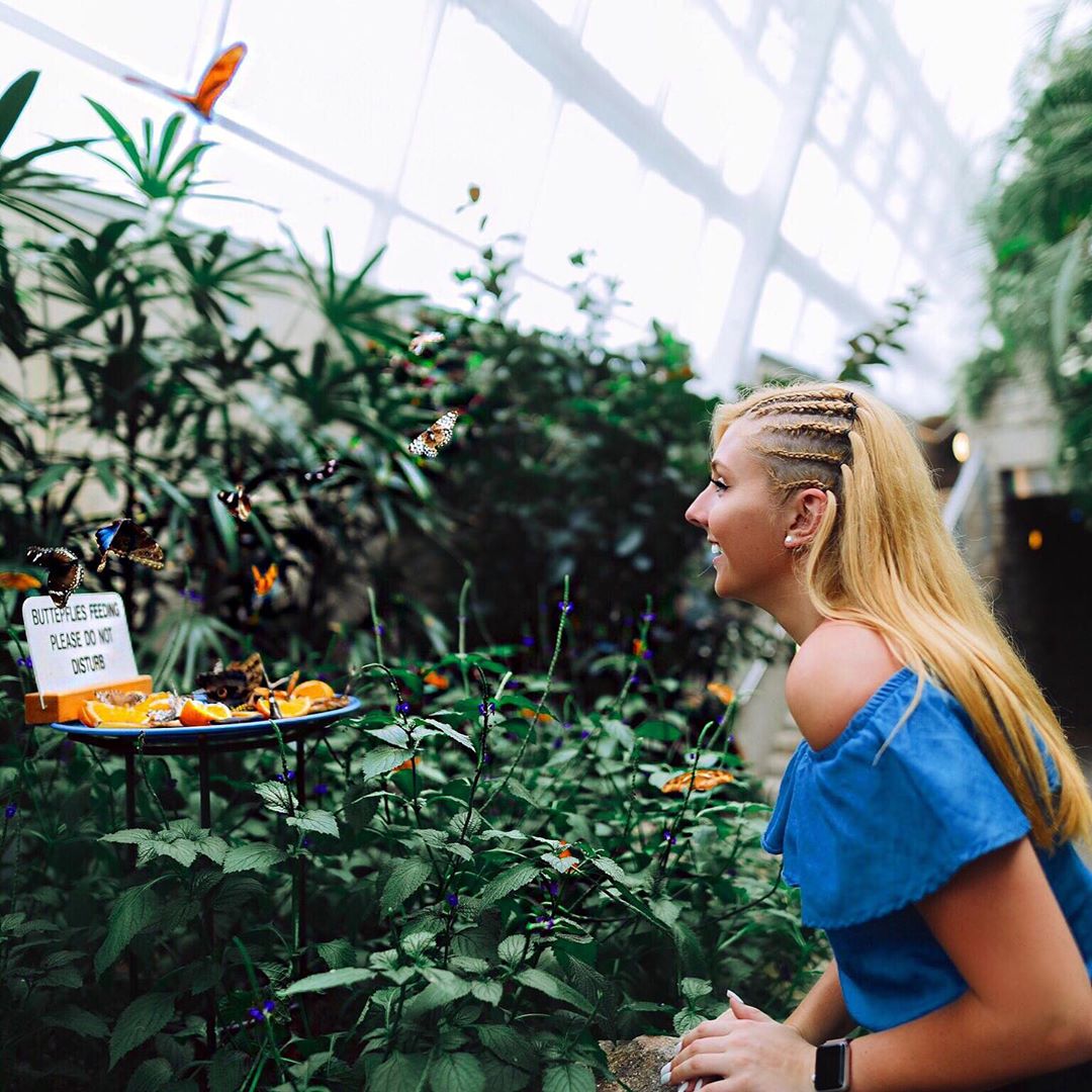 Butterfly Conservatory