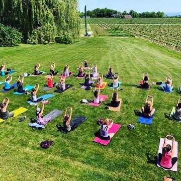 YOGA in the vineyard