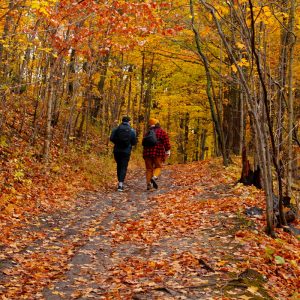 Fall Hiking in Short Hills