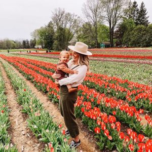 Picking Tulips in Niagara