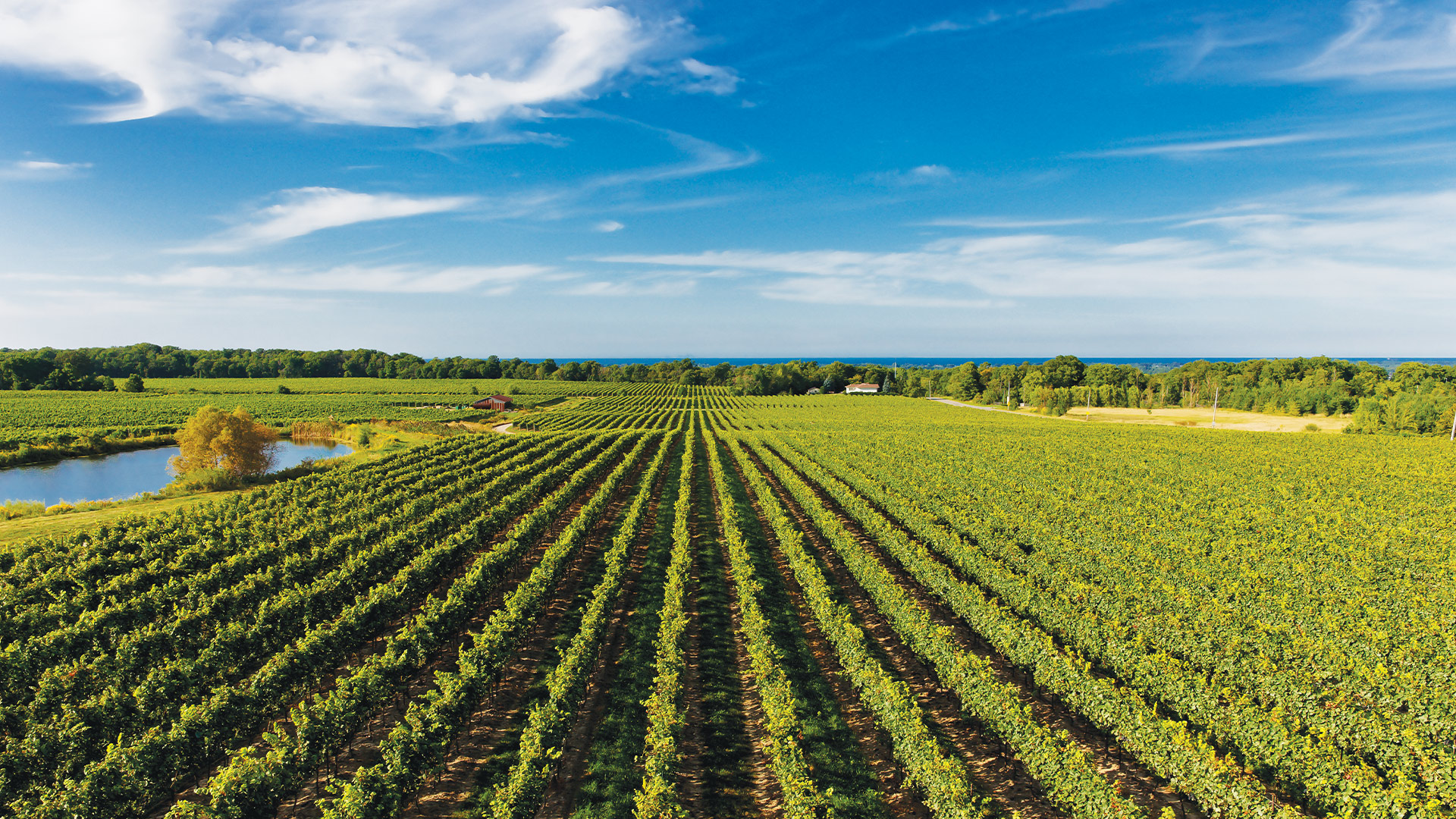 VISIT NIAGARA CANADA intelligence overview