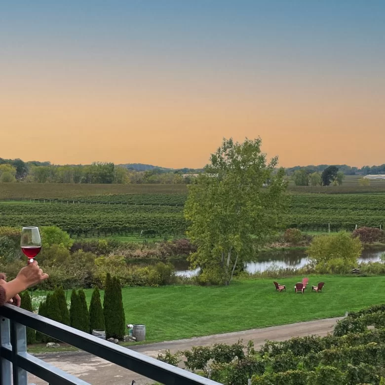 Wineries with Golden Hour Views Wineries with Golden Hour Views